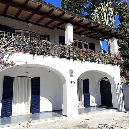 Villa Ravino Secret Retreat Forio di Ischia Extérieur photo