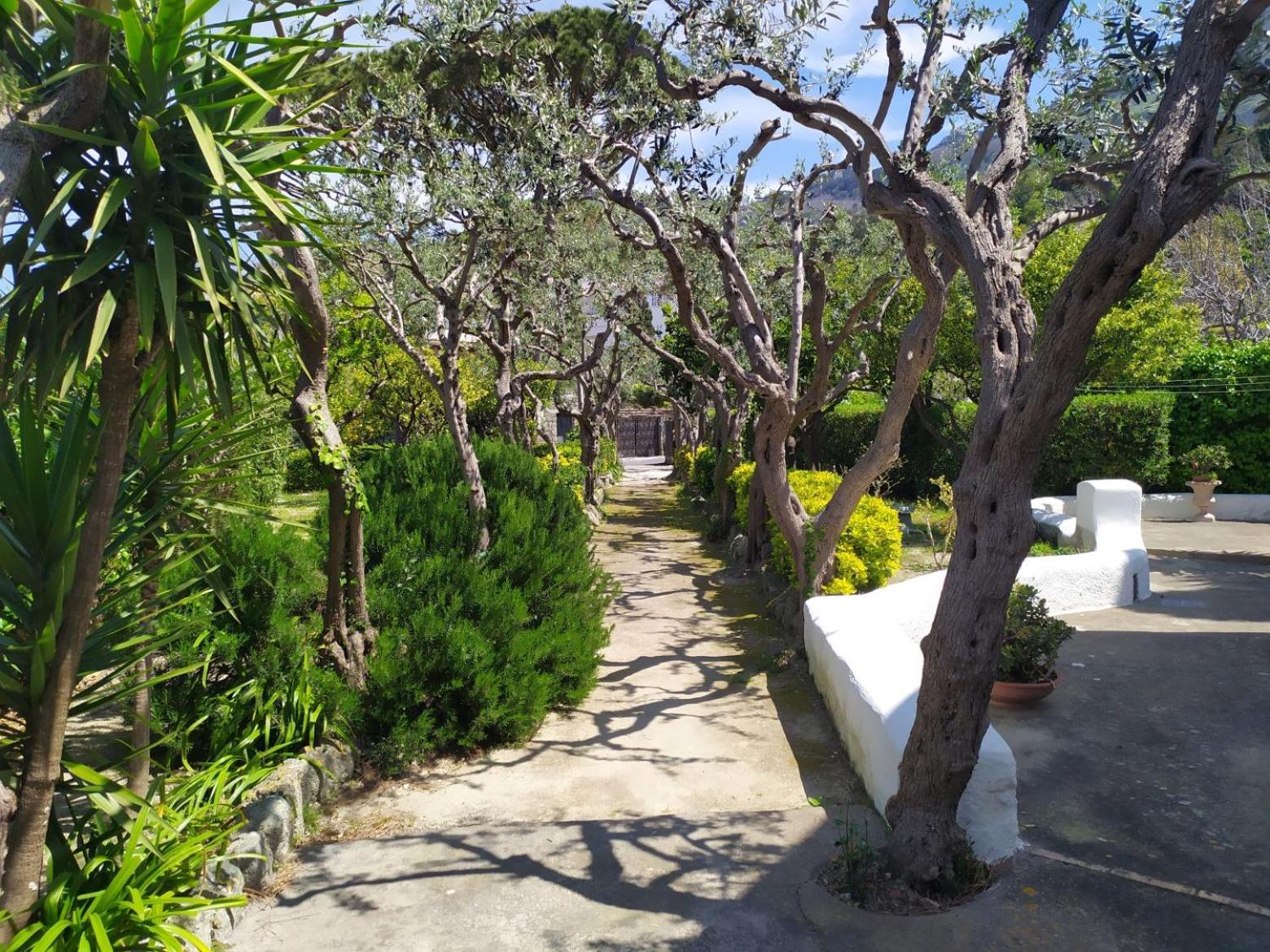 Villa Ravino Secret Retreat Forio di Ischia Extérieur photo